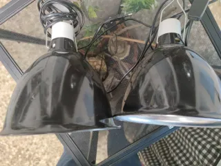 Jaula camaleon Reptiles con dos Focos y dos Fuente