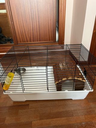 Jaula cobaya + comida y serrín