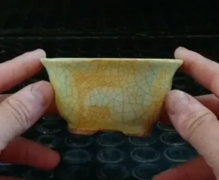 Maceta Bonsai 14 de autor anunciada en Youtube