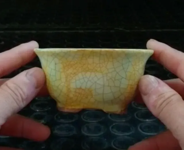 Maceta Bonsai 14 de autor anunciada en Youtube