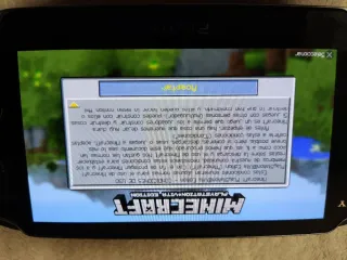 Minecraft PS Vita