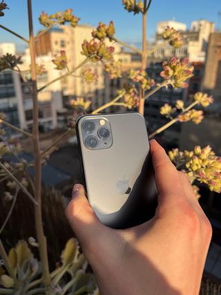 iPhone 11 Pro 256GB 100% - Oportunidad