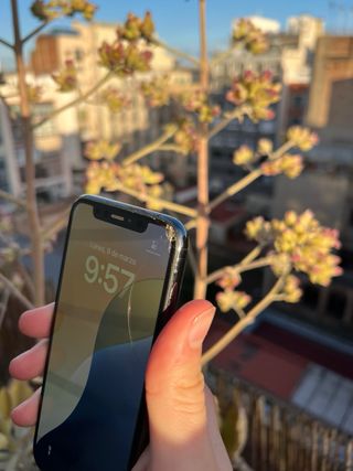 iPhone 11 Pro 256GB 100% - Oportunidad