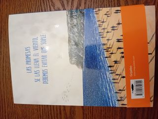 Lo que te diré cuando te vuelva a ver (Spanish ...