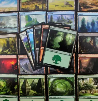 65 tierras básicas, 13 de cada MTG Magic