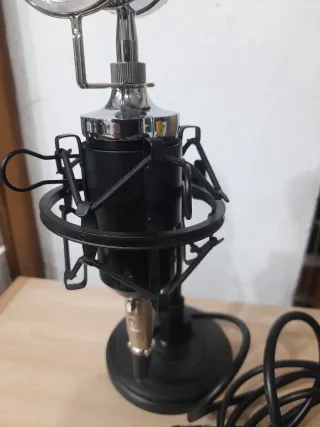 Micrófono Neewer NW-800 Negro/Plateado