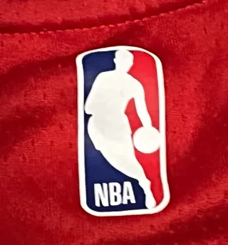 Camiseta Nike Bulls 24 Dri-Fit