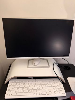 Monitor + Teclado inalambrico + Raton