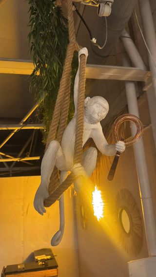 Lámpara Mono Colgante Decorativa