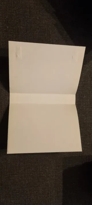 Castle of Illusion + Quackshot Mega Drive