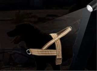 Pettorina Cane Regolabile Taglia L Nuova