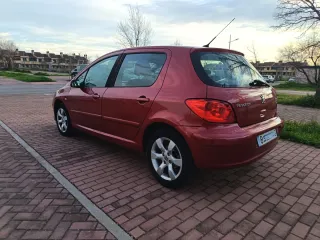 Peugeot 307 2007