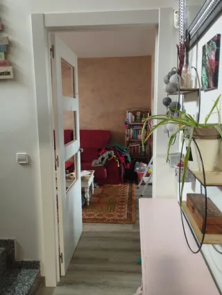 Servicios de carpintería y montaje