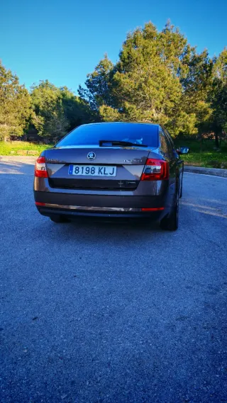 Skoda Octavia 2018