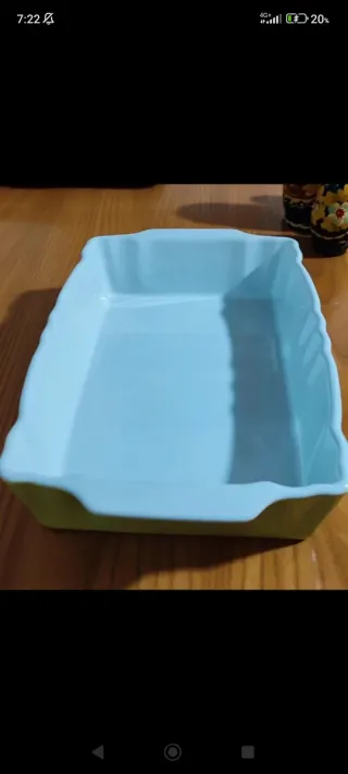 Pirofila ceramica RoyalKoning verde e bianca