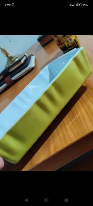 Pirofila ceramica RoyalKoning verde e bianca