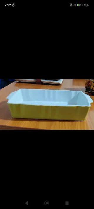 Pirofila ceramica RoyalKoning verde e bianca