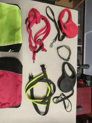 Correas extensibles, arnés, collar y 2 chubasquero
