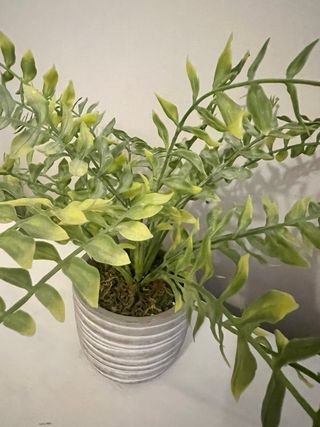 Planta artificial con maceta decorativa