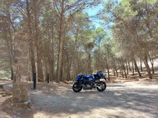 Honda CBR 1000 RR Fireblade 2006