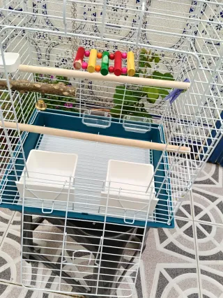 Jaula para pájaros color turquesa y blanco