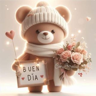 Gabardina Mango Algodón Talla L