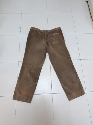 Pantalón de pinzas marrón