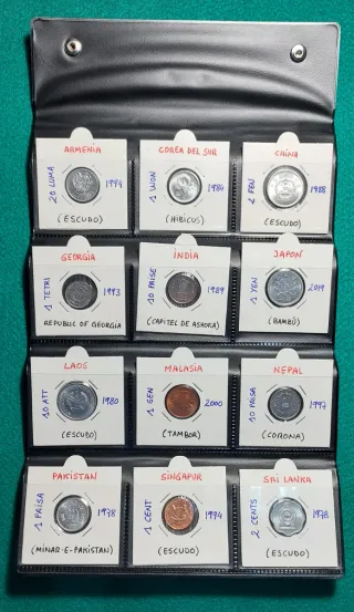 CARTERA DE MONEDAS ASIATICAS