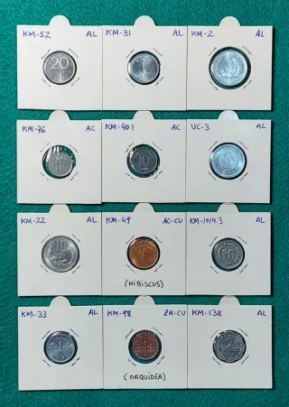 CARTERA DE MONEDAS ASIATICAS