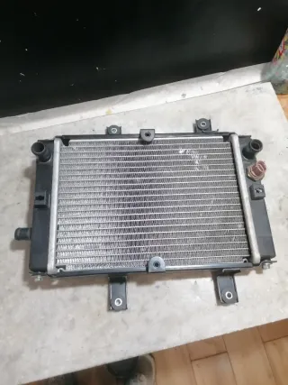 Radiador Sym Joymax 125i 2018