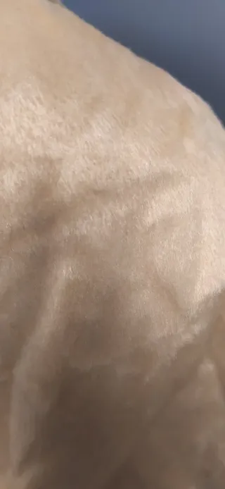 Disfraz León Adulto Talla M Sin Estrenar