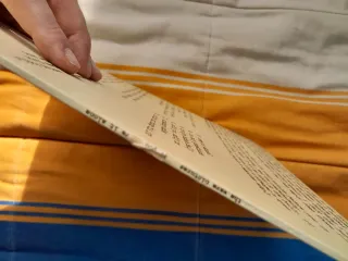 The Wave Pictures If You Leave It Alone Vinilo