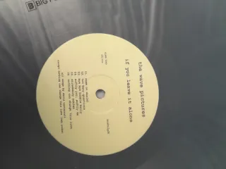 The Wave Pictures If You Leave It Alone Vinilo