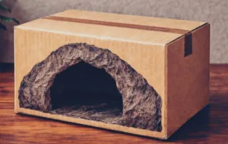 “Caverna portátil de Platón – descubre la realidad