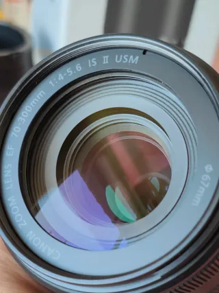 Canon EF 70-300mm IS II USM