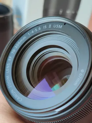 Canon EF 70-300mm IS II USM