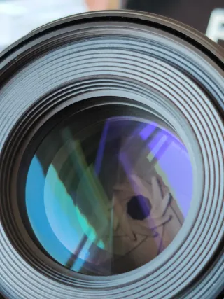 Canon RF 85mm F2 Macro IS STM