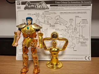 Caballero del Zodiaco de Acuario