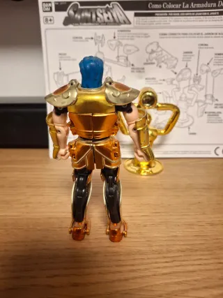 Caballero del Zodiaco de Acuario