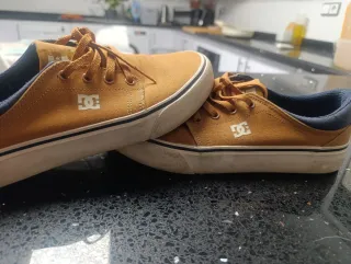 Zapatillas DC Shoes Marrones y Azules