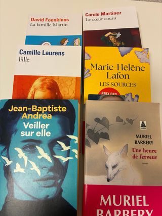 6 novelas recientes en francés