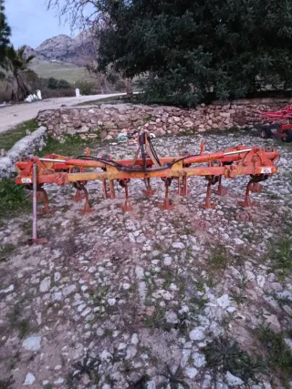 Cultivador 13 brazos noli