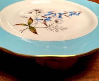 Royal Albert Piatti Centenario