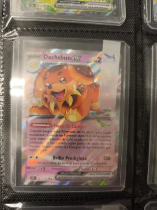 Colección Cartas Pokémon EX