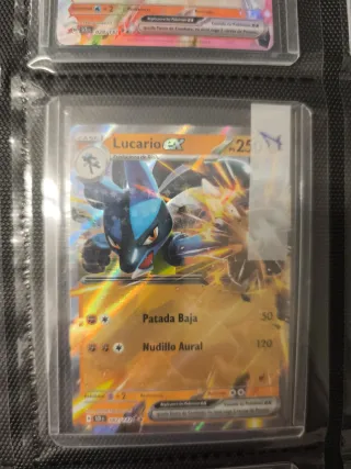 Colección Cartas Pokémon EX