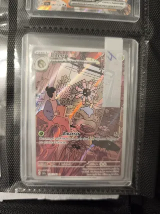 Colección Cartas Pokémon EX