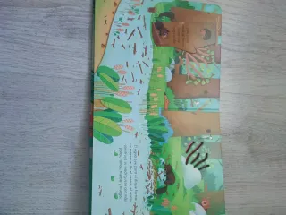 Libro infantil casitas de animales de usborne