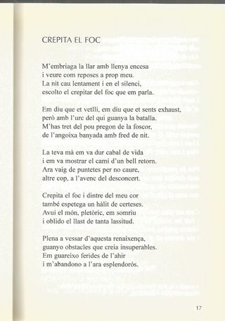 EL PODER DEL SILENCI - INMA FUSTER i TUBELLA -