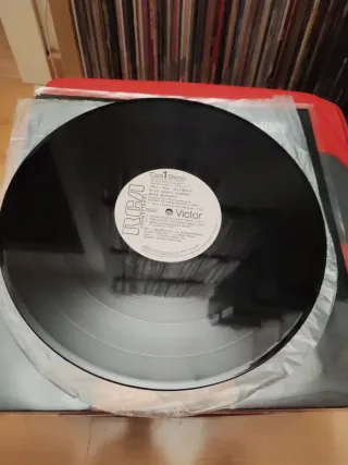 Mick Ronson - Play Don't Worry Vinilo