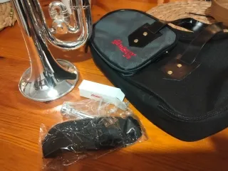 Corneta Honsuy Carmen Plata